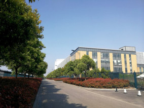 Shanghai Tourism image