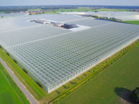 Case Study Den Berk - Foto