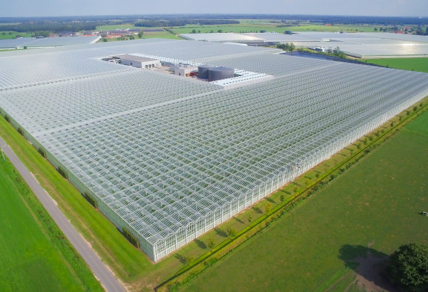 Case Study Den Berk - Foto