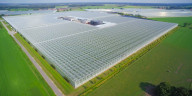 Case Study Den Berk - Foto