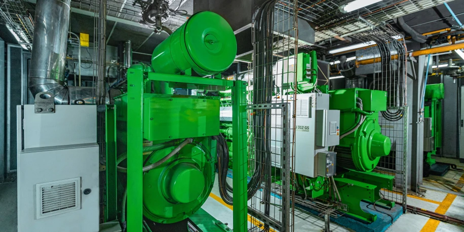 Permoda Plants (COL)